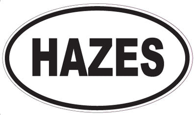 HAZES - Oval Magnet