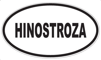 HINOSTROZA - Oval Magnet