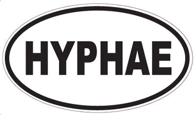 HYPHAE - Oval Sticker
