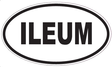 ILEUM - Oval Magnet