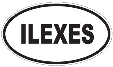 ILEXES - Oval Sticker