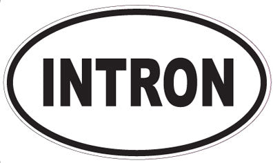INTRON - Oval Sticker
