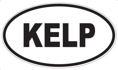 KELP - Oval Magnet