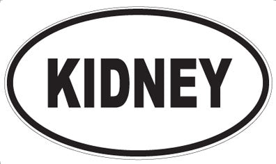 KIDNEY - Oval Magnet