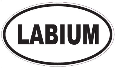 LABIUM - Oval Sticker