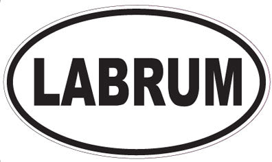 LABRUM - Oval Sticker