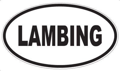 LAMBING - Oval Sticker