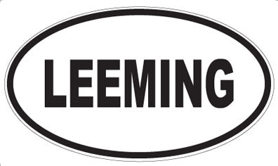 LEEMING - Oval Magnet