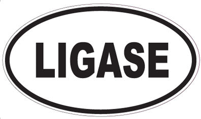 LIGASE - Oval Sticker
