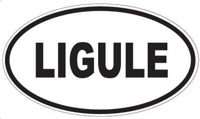 LIGULE - Oval Sticker