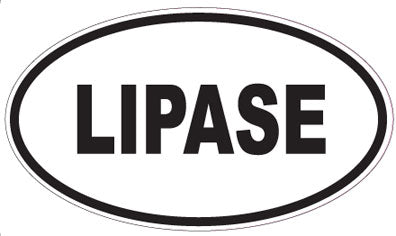 LIPASE - Oval Sticker