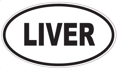 LIVER - Oval Sticker