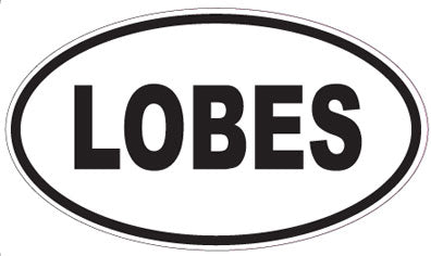 LOBES - Oval Magnet