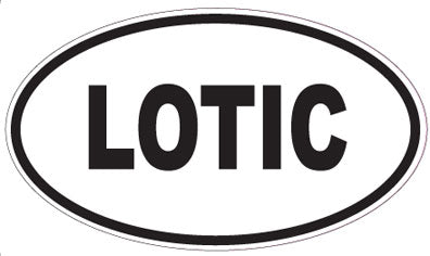 LOTIC - Oval Sticker