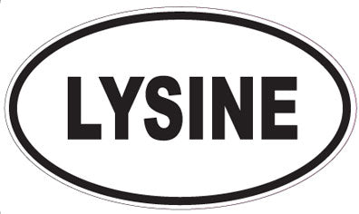 LYSINE - Oval Sticker