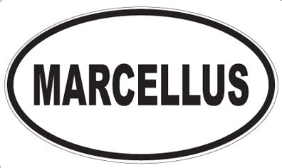 MARCELLUS - Oval Sticker