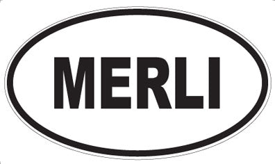 MERLI - Oval Magnet
