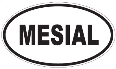 MESIAL - Oval Sticker