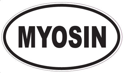 MYOSIN - Oval Sticker