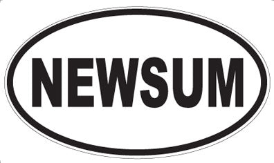 NEWSUM - Oval Magnet