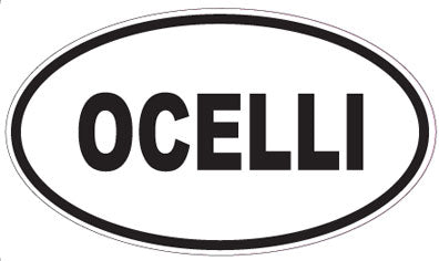 OCELLI - Oval Sticker