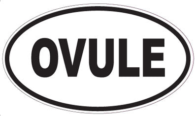 OVULE - Oval Magnet