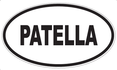 PATELLA - Oval Magnet