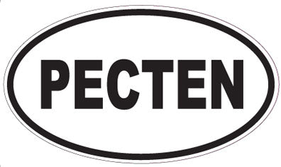PECTEN - Oval Sticker