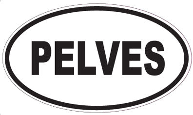 PELVES - Oval Sticker