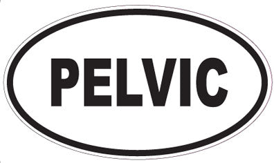 PELVIC - Oval Sticker