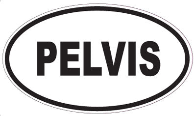 PELVIS - Oval Sticker