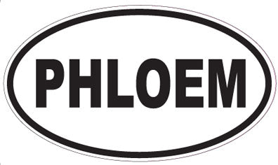 PHLOEM - Oval Sticker
