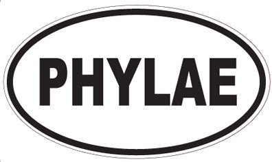 PHYLAE - Oval Sticker