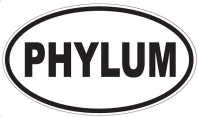 PHYLUM - Oval Sticker