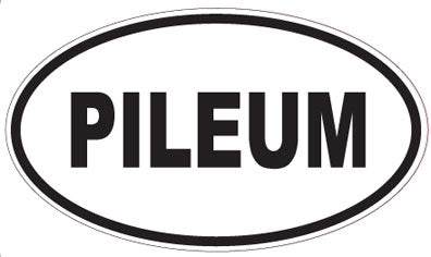 PILEUM - Oval Sticker