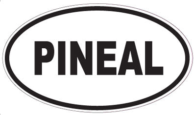 PINEAL - Oval Sticker