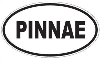 PINNAE - Oval Sticker