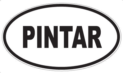 PINTAR - Oval Magnet