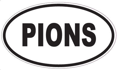 PIONS - Oval Sticker