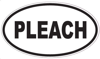 PLEACH - Oval Sticker