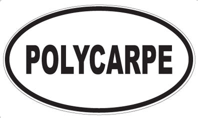 POLYCARPE - Oval Sticker