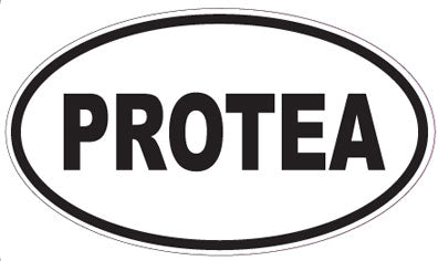 PROTEA - Oval Sticker