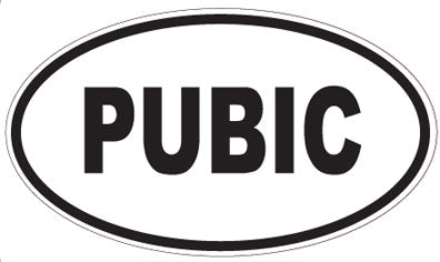 PUBIC - Oval Magnet