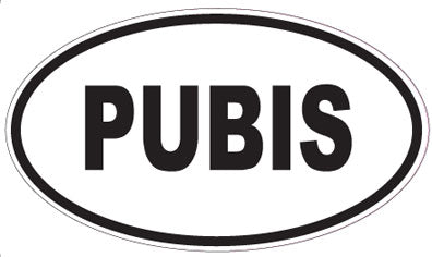 PUBIS - Oval Sticker