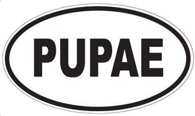 PUPAE - Oval Sticker