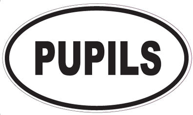 PUPILS - Oval Sticker