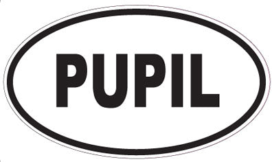 PUPIL - Oval Magnet