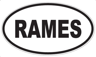 RAMES - Oval Magnet