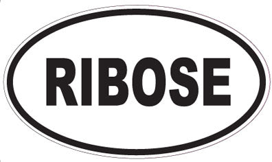 RIBOSE - Oval Sticker