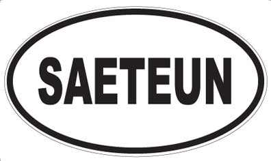 SAETEUN - Oval Magnet
